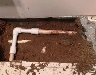 张家界测漏水哪家好